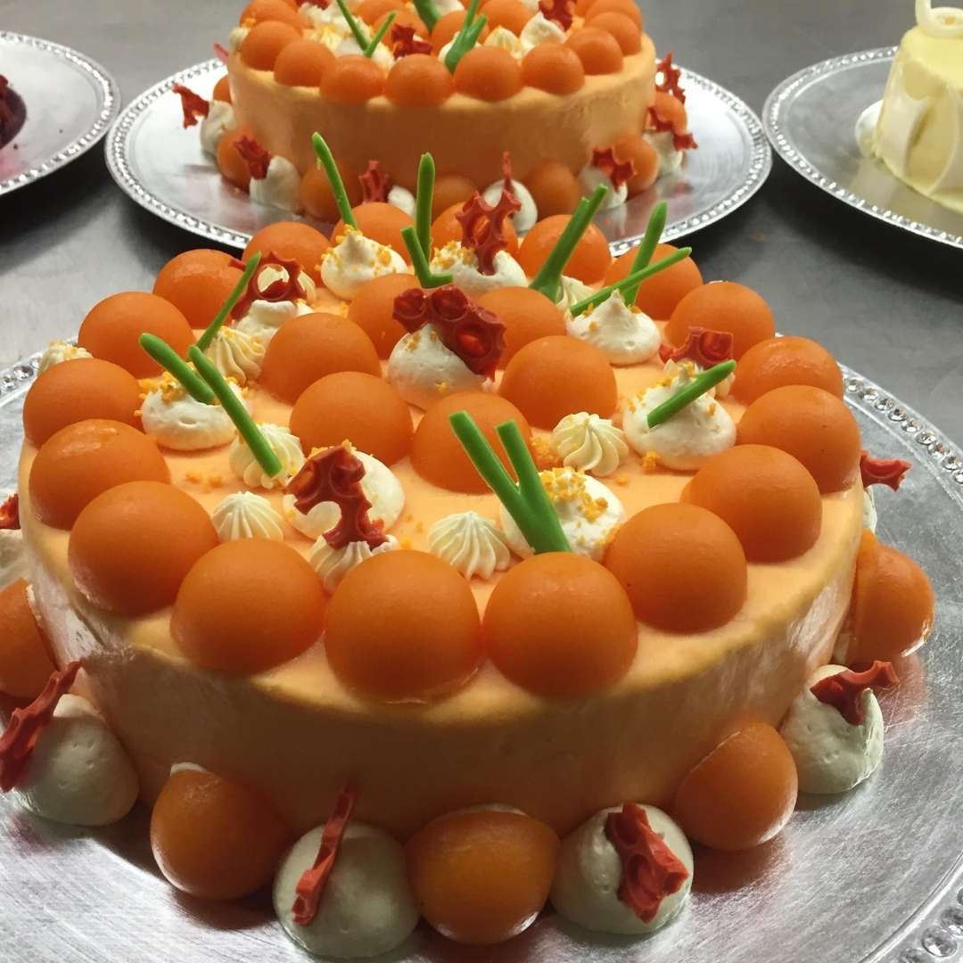 Orange Segment Mousse Cake